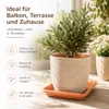Podstawka pod doniczkę z terakoty Jana 17 x 17 cm - Podgląd zdjęcia produktu 2