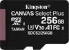 Kingston Canvas Select Plus - 256 GB - MicroSDXC - Classe Anteprima dell’immagine prodotto 1