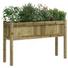 A wooden planter box filled with various plants and flowers, set against a white background. Podgląd zdjęcia produktu