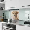 Küchenrückwand Spritzschutz Glas mit Motiv Welpenbilde 40 x Produktbild-Vorschau 2