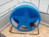 Savic koliesko pre hlodavce "ORBITAL" ø 28 cm Náhľad obrázku produktu 12