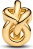 A close-up studio shot of a gold knot charm. Anteprima dell’immagine prodotto