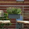 Fioriera LECHUZA BALCONERA Colore 50 grigio ardesia | Anteprima dell’immagine prodotto 19