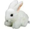 A plush toy rabbit sits on a white background. Podgląd zdjęcia produktu
