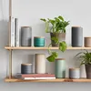 A collection of ceramic storage jars with wooden lids arranged on two wooden shelves. Produktbild-Vorschau