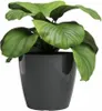 Artevasi San Remo Pot, Anthrazit, 14,5 l, 300 mm, 273 mm, 1 Produktbild-Vorschau 6