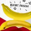 Fackelmann Bananentresor, Aufbewahrungsbox für Bananen, Produktbild-Vorschau 2
