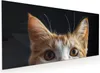 Küchenrückwand Spritzschutz Glas mit Motiv Katzenaugen 40 x Produktbild-Vorschau 1