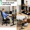 di volio Höhenverstellbarer Schreibtisch Amone, 120 x 60 Produktbild-Vorschau 19
