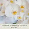 Floravera Premium Orchideen Flüssigdünger 2 x 1 Liter Produktbild-Vorschau 3