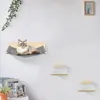 3tlg Kletterwand KatzenSet Katzenhängematte mit Produktbild-Vorschau 3