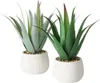 Künstliche Aloe-Pflanze im Blumentopf MONDRAGO, 29 cm Produktbild-Vorschau 11