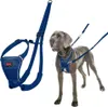 Halti Erziehungsgeschirr No Pull Harness Cobalt Blue, Produktbild-Vorschau 6