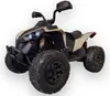 FINOOS Kinderquad Kinder Elektro-Quad, CAM-AM RENEGADE 24V Produktbild-Vorschau 5