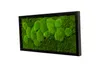 Moosbild 60x30cm 50% Flachmoos/ 50%Kugelmoos (schwarz) Produktbild-Vorschau 2