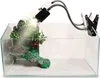A terrarium with a rock and plant decoration, illuminated by a dual-head lamp with clip-on mounts. Voir les images du produit