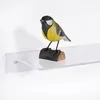 Wandregal aus Acrylglas 200mm Breit, 100mm Tief - Zeigis® / Produktbild-Vorschau 4