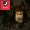 HOFER Grabkerze aus Glas Waldlichtung - 2 Stk. Glas Produktbild-Vorschau 7