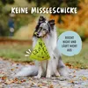 RUDELKÖNIG Hundekotbeutel – 300 reißfeste & auslaufsichere Produktbild-Vorschau 5