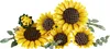 LEGO Botanicals Bouquet de Tournesols 11502 Jeu de Voir les images du produit 4
