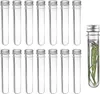 Reagenzgläser, transparente Reagenzgläser aus Kunststoff Produktbild-Vorschau 1