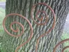 Set, 3 Stück, Gartenstab Schnecke, Rankstab, Produktbild-Vorschau 2