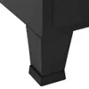 vidaXL Armoire de bureau avec portes grillagées Industriels Voir les images du produit 9