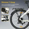 TTGO C3 E-Bike Cityrad 28 Zoll, 55Nm, 650Wh, 150km, Produktbild-Vorschau 12