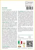 SAFLAX  - Arachide - 8 semi - Arachis Anteprima dell’immagine prodotto 3