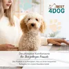 PUDDY Hundebett 70x60x5 cm Hundekissen Hundesofa Hundematte Produktbild-Vorschau 7