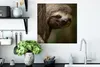 MuchoWow® Poster Ein Faultier in den Bäumen schaut in die Produktbild-Vorschau 3