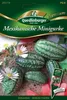 Mexikanische Minigurke Produktbild-Vorschau 1