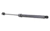 RIDEX 219G0207 Gasfeder Heckklappendämpfer passend für Produktbild-Vorschau 9