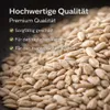 Sonnenblumenkerne 2kg Geschält Roh Vegan Natur Proteinreich Produktbild-Vorschau 6