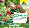 Neudorff Spruzit NEEM ZierpflanzenSchädlingsfrei 450 ml Produktbild-Vorschau 6