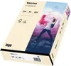 tecno Papier multifonctions colors A4 160 g/qm chamois Voir les images du produit 1