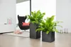 Fioriera LECHUZA CANTO Stone 40 High Nero grafite | Anteprima dell’immagine prodotto 20
