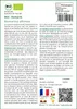 SAFLAX Ensemble-cadeau -- Romarin - 40 graines - Rosmarinus Voir les images du produit 3