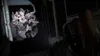 The Last of Us: Part II Remastered Produktbild-Vorschau 4