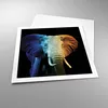 Poster - Poster ohne Rahmen - Bunt Elefant Fotografie - Produktbild-Vorschau 3