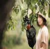 Fiskars QuikFit™ fruitplukker Productafbeelding-voorbeeld 7
