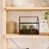 Terrarium végétal Relaxdays, verre et étain, serre Voir les images du produit 3