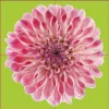 Das "Gelingt-immer"-Puzzle Blumen. Das Puzzle-Spiel für Produktbild-Vorschau 1