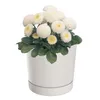Blumentopf mit Untersetzer Ø14,7 cm Höhe 14,7 cm Rund Matt Produktbild-Vorschau 1