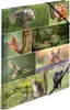 HERMA Eckspannermappe "Waldtiere" Karton DIN A3 Produktbild-Vorschau 10