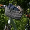 UNUS Fahrradkorb aus Kunststoff für hinten mit Henkel in Produktbild-Vorschau 2