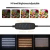 Zestaw oświetlenia wideo Andoer z 2 lampami LED z USB, Podgląd zdjęcia produktu 6