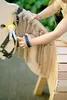 Set di giochi per la toelettatura del cavallo con borsa Anteprima dell’immagine prodotto 4