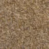 PREMIUM Kunstrasen Fertigrasen beige 250 x 400 cm mit Produktbild-Vorschau 1