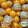 Samenliebe  Physalis Samen | Schönbrunner Gold - Produktbild-Vorschau 4